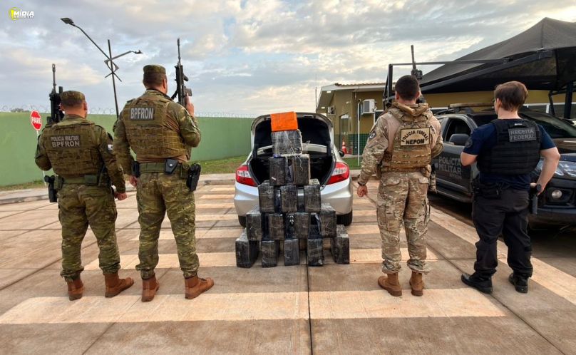 Maconha avaliada em R$ 651 mil é apreendida em ação integrada