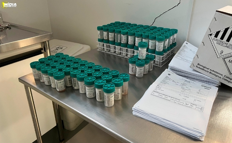 Paraná reduz prazo para diagnóstico de febre amarela em primatas