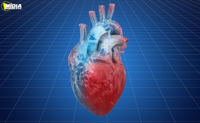 Paraná amplia atendimento com tele-eletrocardiograma em 183 municípios