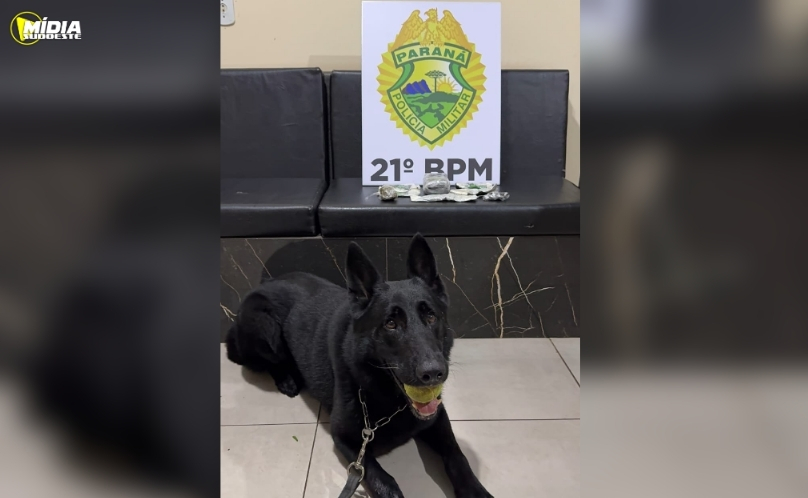 Operação Policial