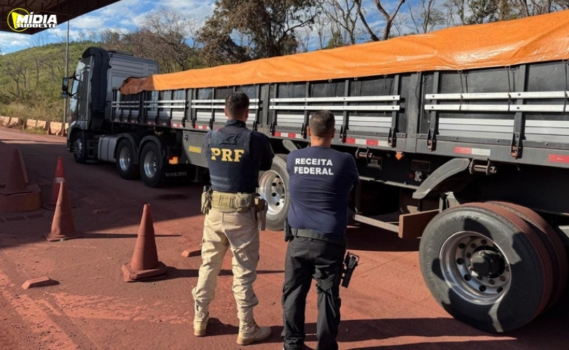 PRF e Receita Federal apreendem 19,2 mil litros de insumos para refino de cocaína