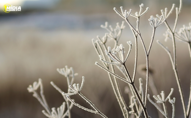 Frio intenso e possibilidade de geada marcam a terça-feira no Paraná