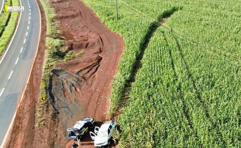 PRF apreende 625 quilos de maconha após perseguição