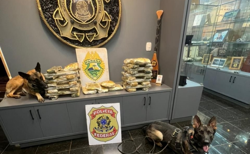 Mulher é presa com mais de 33 quilos de maconha durante fiscalização