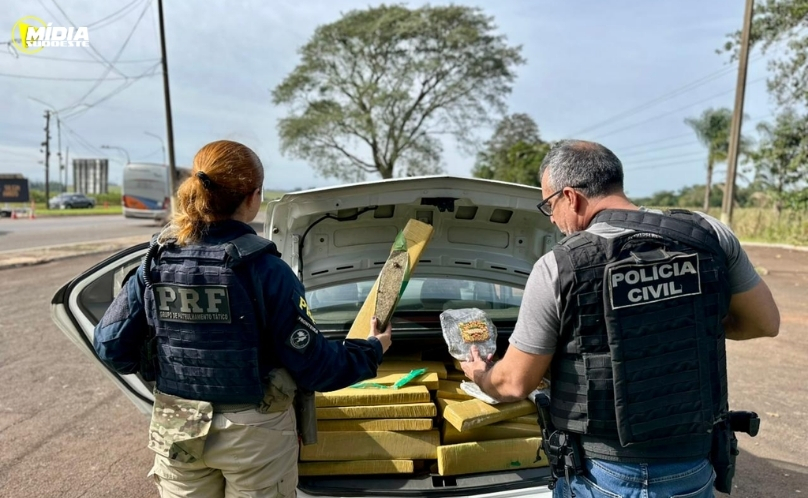 PRF e Polícia Civil apreendem quase 400 kg de maconha na BR-277