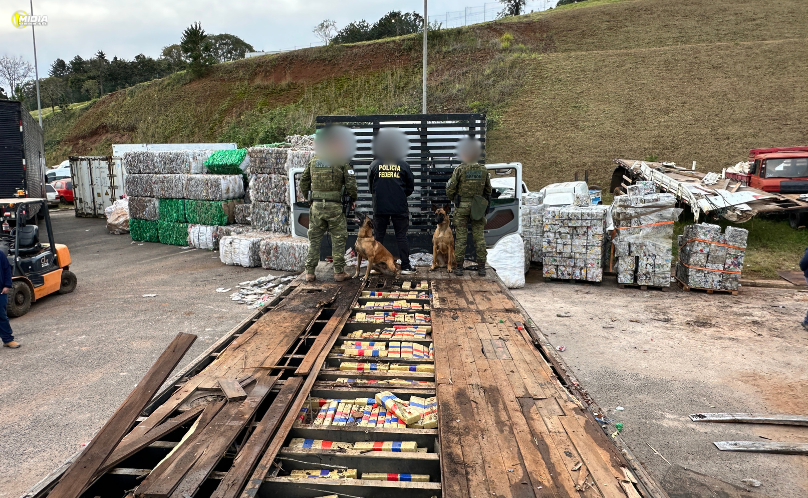 SAS: Polícia intercepta carregamento de maconha avaliado em mais de R$ 2 milhões