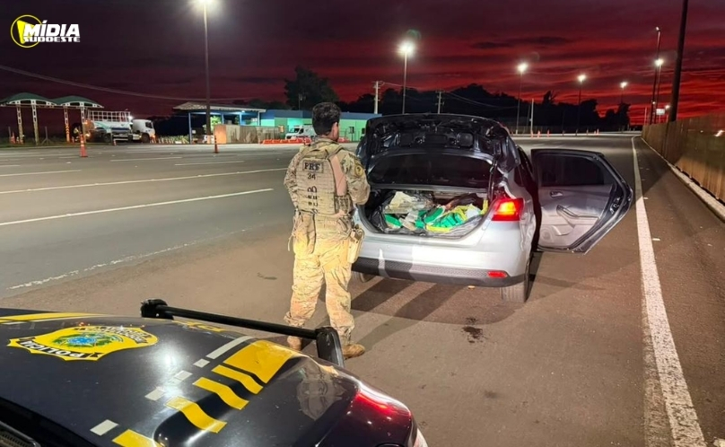 PRF apreende cigarros contrabandeados e quase 200 kg de maconha