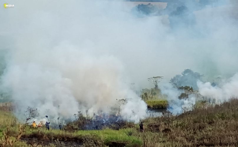 Incêndio em vegetação atinge área de 10 mil metros quadrados