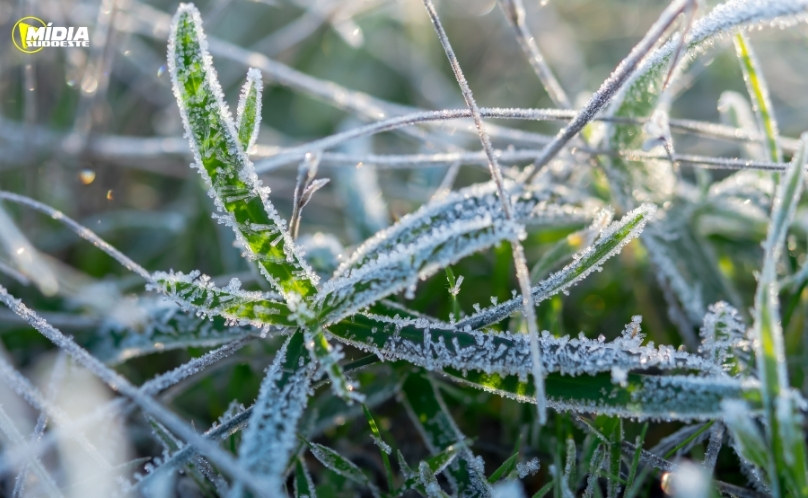 Frio intenso domina o Paraná e geada deve atingir diversas regiões nesta terça-feira