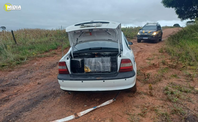 PRF apreende 269 kg de maconha após fuga e acidente na BR-272