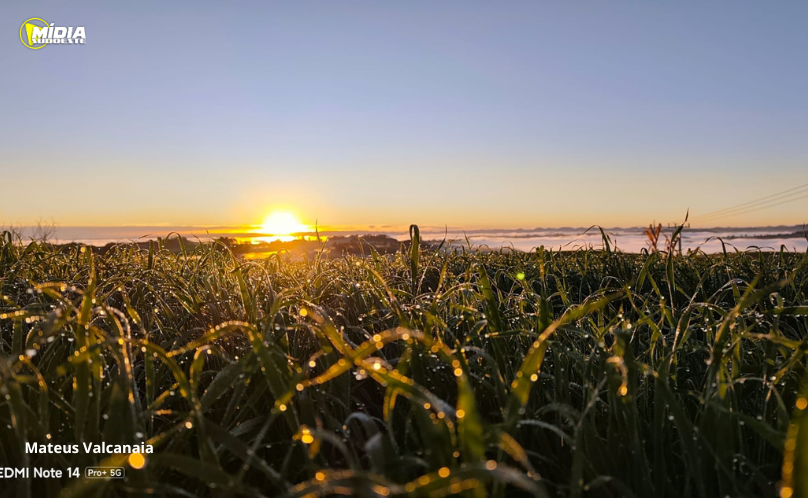 Geada cobre a paisagem e temperaturas negativas marcam amanhecer gelado