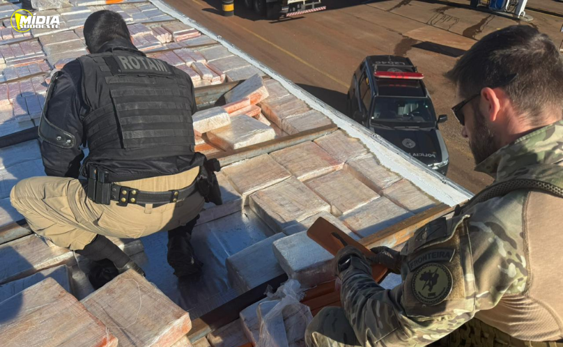 Motorista é preso com carga milionária de maconha na BR-163