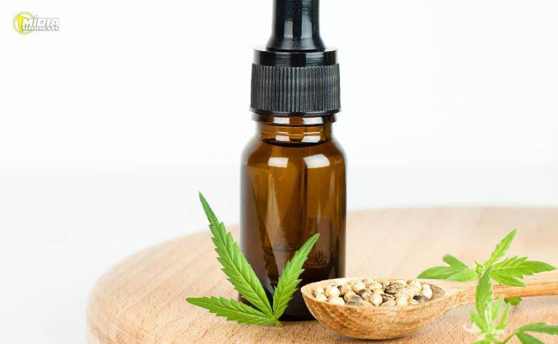 Pacientes que usam cannabis medicinal têm musculação como principal prática esportiva