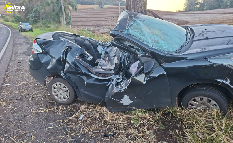 Motorista sobrevive após carro ser destruído em colisão contra árvore