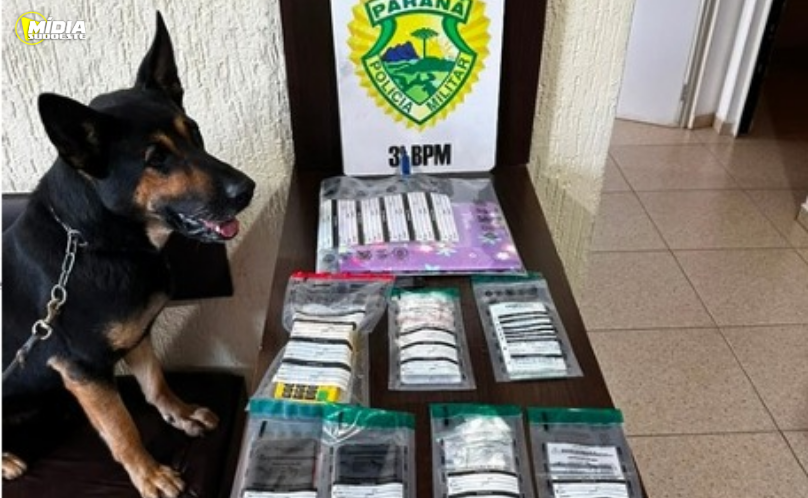 Traficante é preso com 71 porções de cocaína durante operação policial