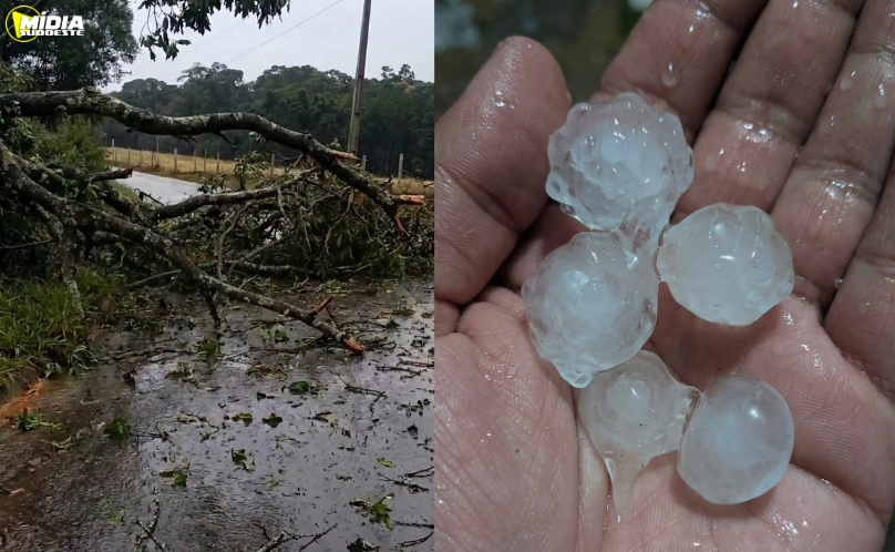 Temporais com granizo e vendavais causam estragos em cidades do Paraná