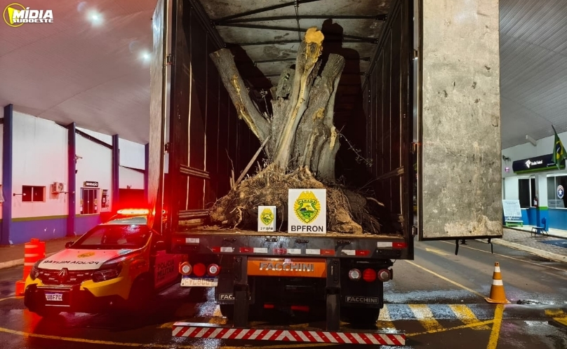 Caminhão com oliveiras avaliadas em R$ 1,1 milhão é apreendido na fronteira em Barracão