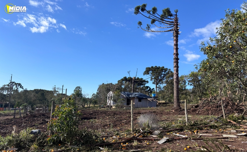 Simepar confirma tornado F2 em Reserva com ventos de até 200 km/h