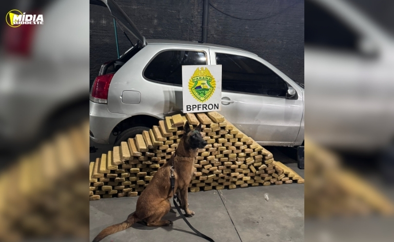 BPFRON apreende mais de 232 quilos de maconha e prende motorista