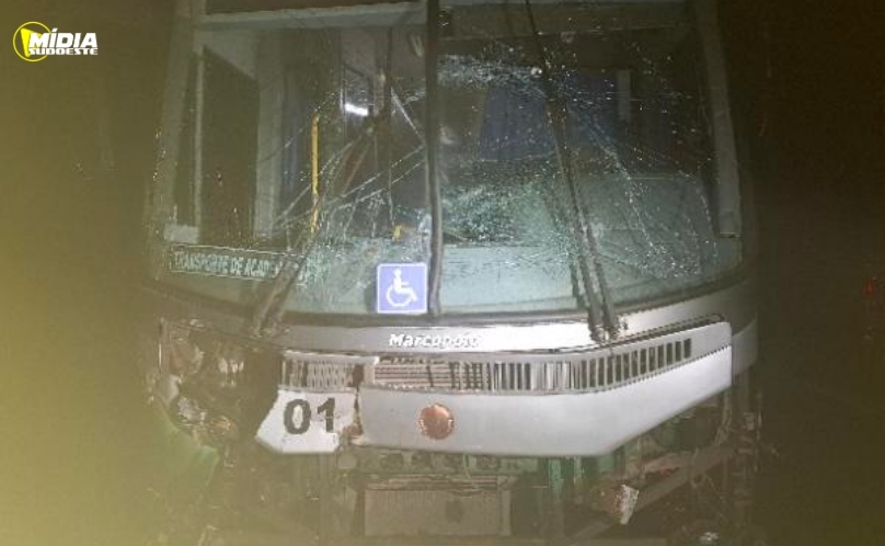 Ônibus atropela dois cavalos na PR-831