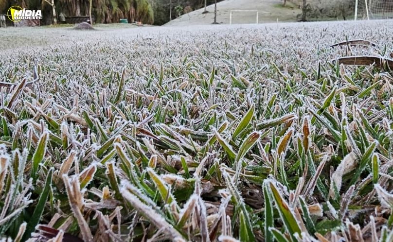 Frio intenso marca o amanhecer no Paraná com temperaturas negativas