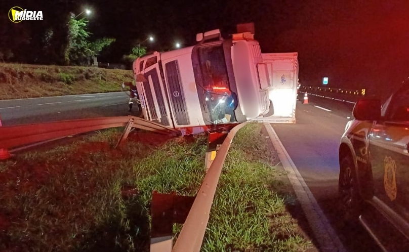 Caminhão carregado com frango congelado tomba na BR-376