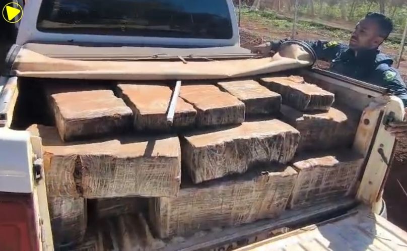 PRF apreende quase uma tonelada de maconha e prende motorista