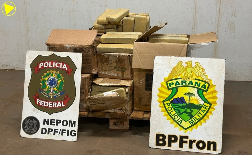 Policiais encontram quase 200 kg de maconha escondidos em imóvel na mata