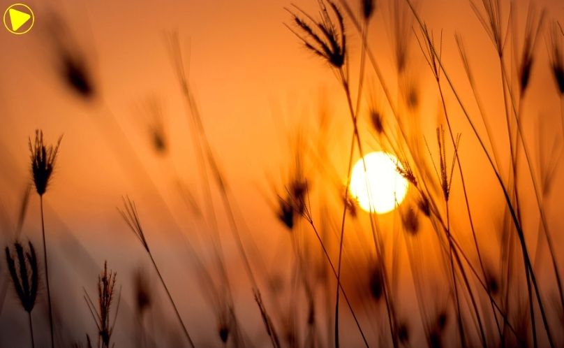 Simepar prevê calor acima dos 30°C antes da chegada de frente fria ao Paraná