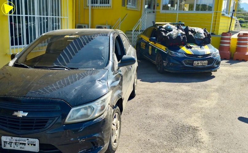 PRF apreende 24 quilos de skunk na BR-101 e prende motorista