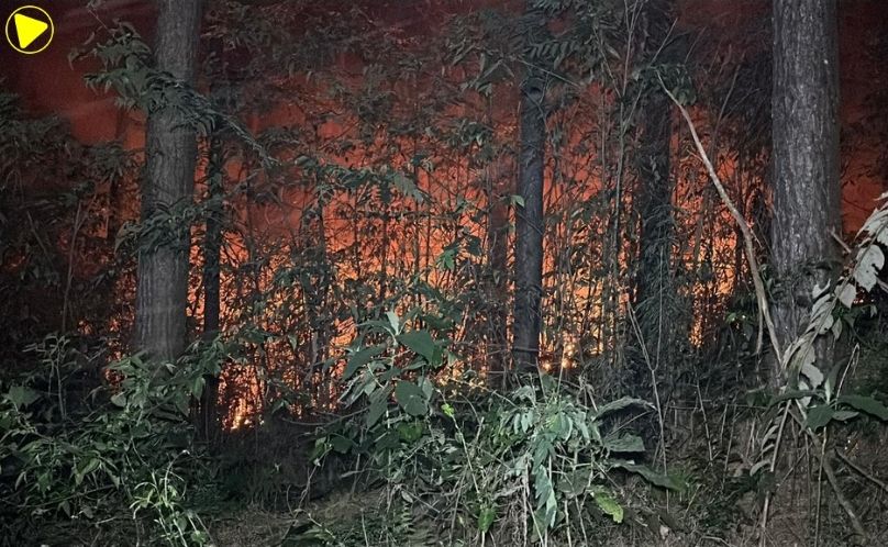SAS: incêndio em área de vegetação mobiliza Defesa Civil na Linha Bonita