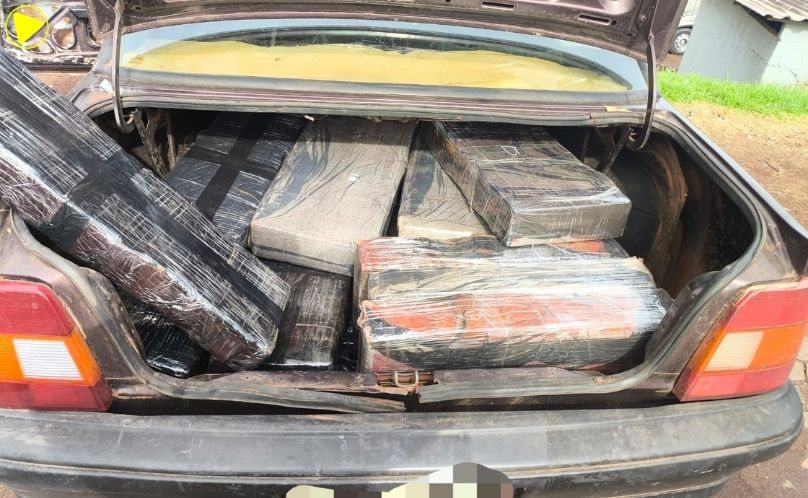 Polícia Militar apreende 220 quilos de maconha e prende suspeito em Realeza