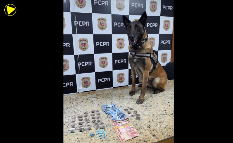 PCPR prende três pessoas e apreende drogas durante operação