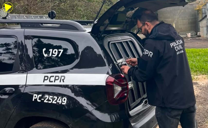Polícia Civil cumpre prisão preventiva por estupro de vulnerável