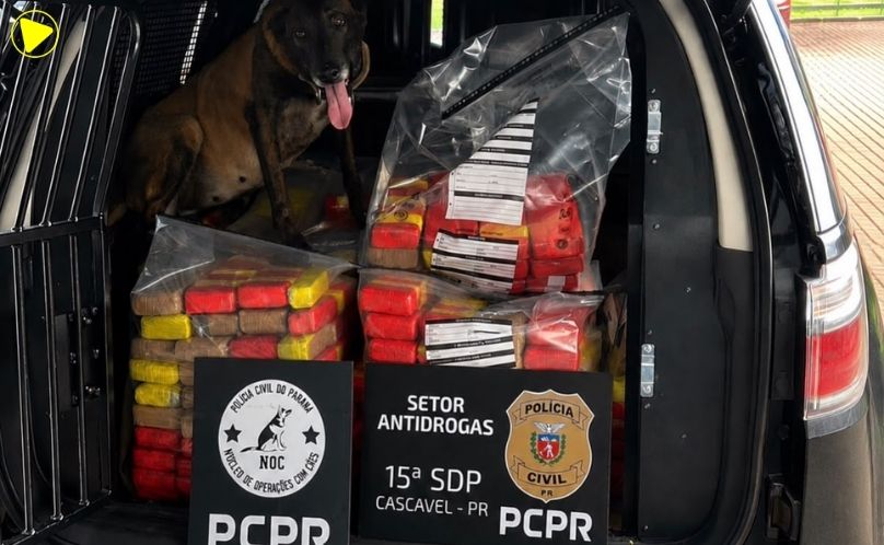Polícia Civil e Receita Federal apreendem mais de 141 quilos de maconha em Cascavel