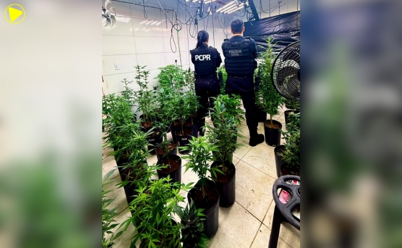 PRF apreende medicamentos