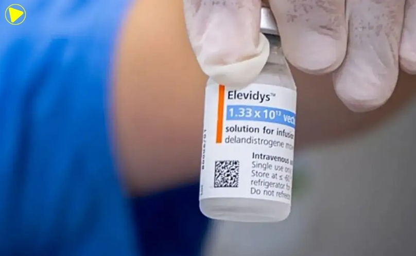 Anvisa e Roche cancelam registro de Elevidys para doença rara