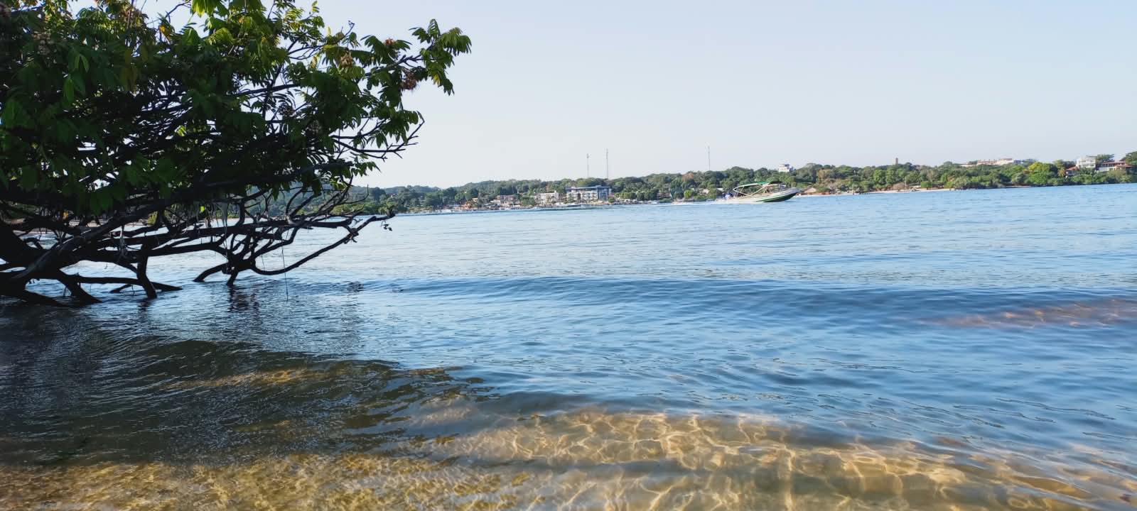 Imagem 3