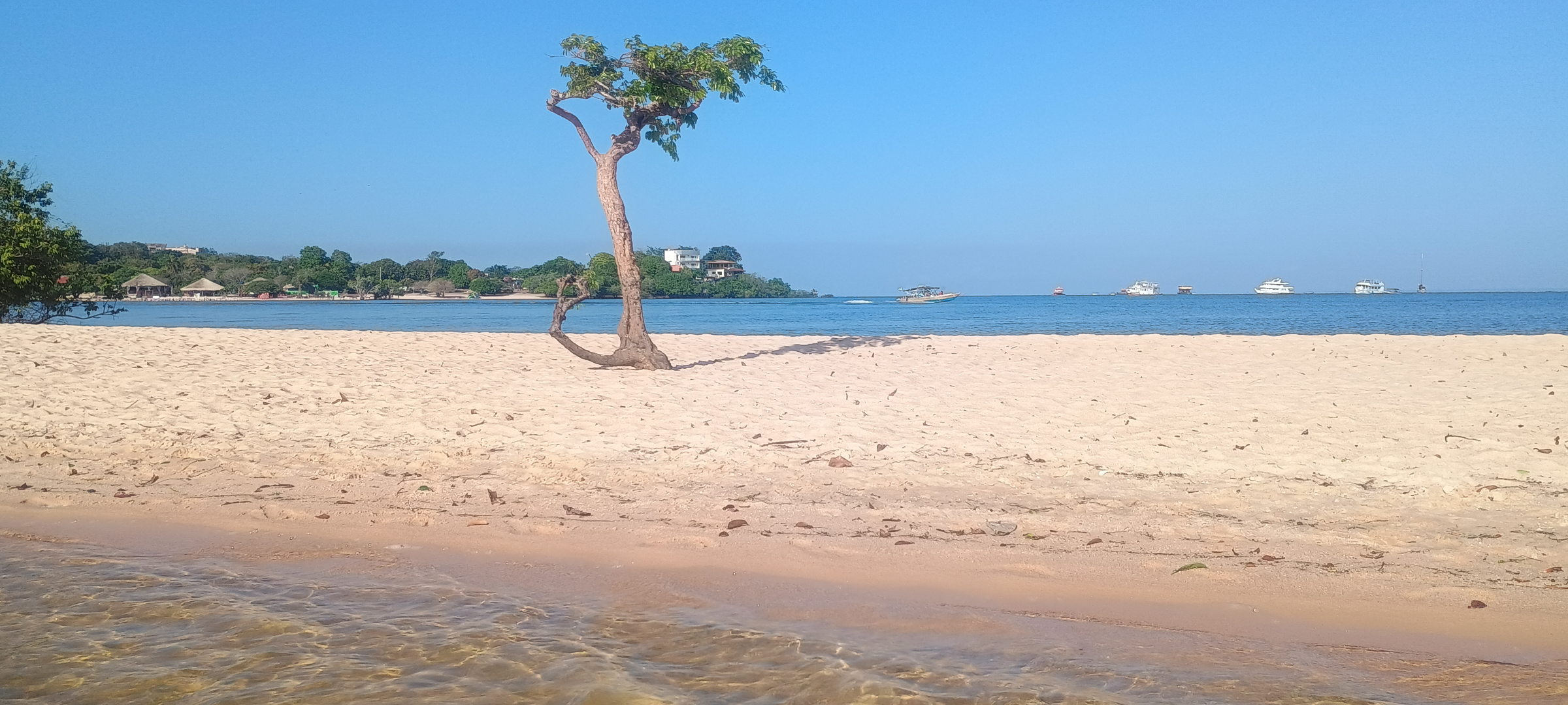 Imagem 6