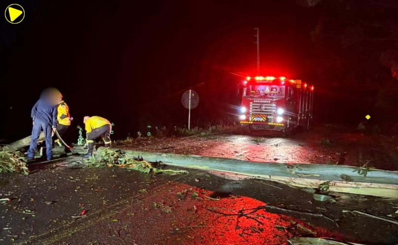 Árvores caem sobre a SC-160 e deixam rodovia interditada durante a madrugada