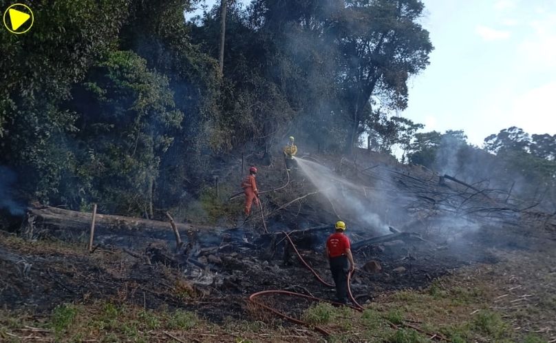 Bombeiros combatem incêndio que atingiu área de mata