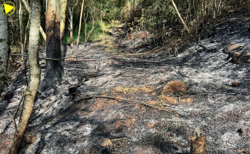 Incêndio em vegetação se espalha para área de mata em Itá