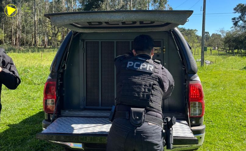 Violência contra criança leva investigado à prisão