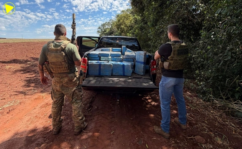 Mais de 600 quilos de maconha são apreendidos em área de mata