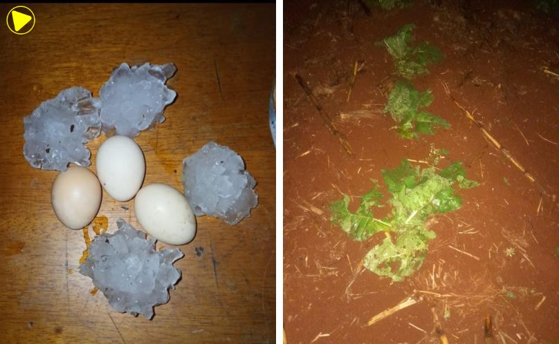 Granizo do tamanho de ovos assusta moradores na Argentina