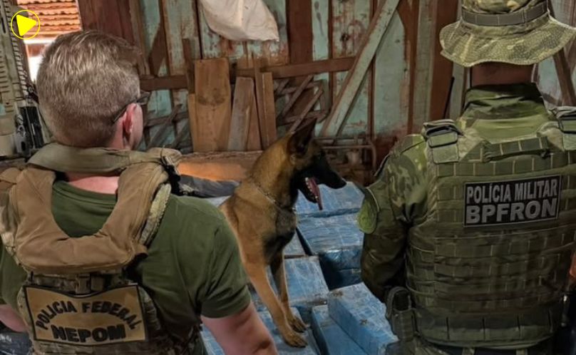 Maconha e armas são apreendidas em propriedade rural