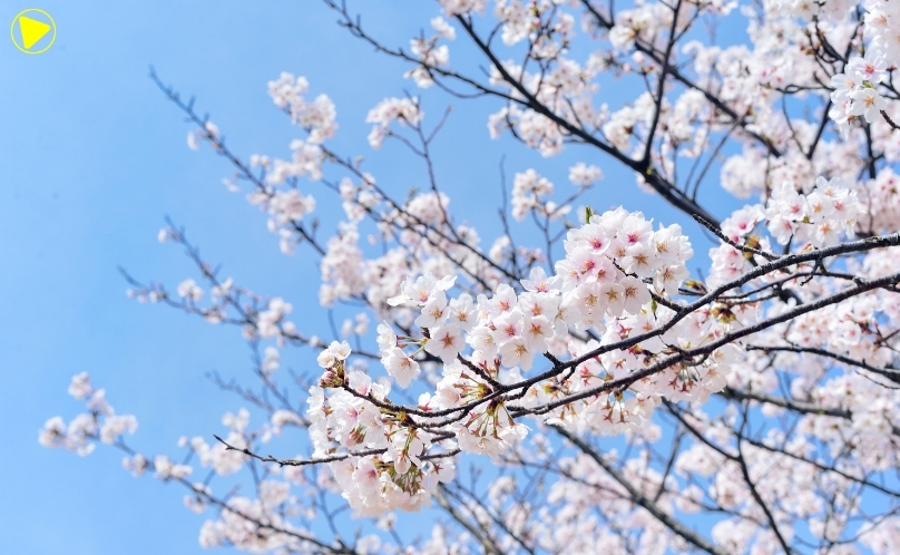 Adeus, inverno: primavera começa hoje com mais calor, chuva e temporais à vista