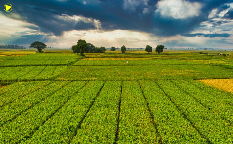 ITR 2026: Receita libera novo formato para declaração de imóveis acima de 100 hectares