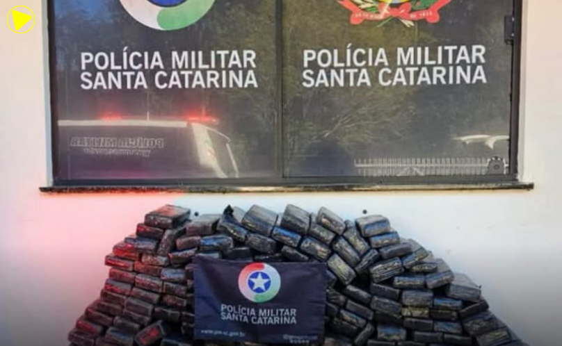 PMPR apreende 250 quilos de maconha