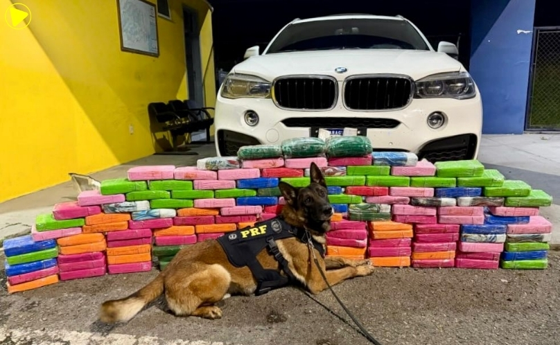 Casal é preso com 136 kg de cocaína em BMW